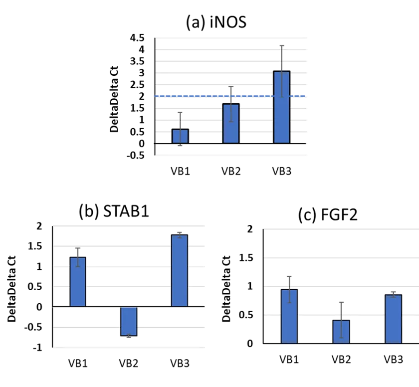 VBがマクロファージ機能に及ぼす作用(mRNA)(図5)