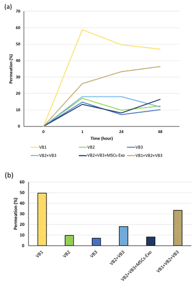 VBの皮膚透過率を検証するための配合元素の検出(図4)