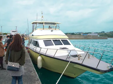 クルーズ船に乗船