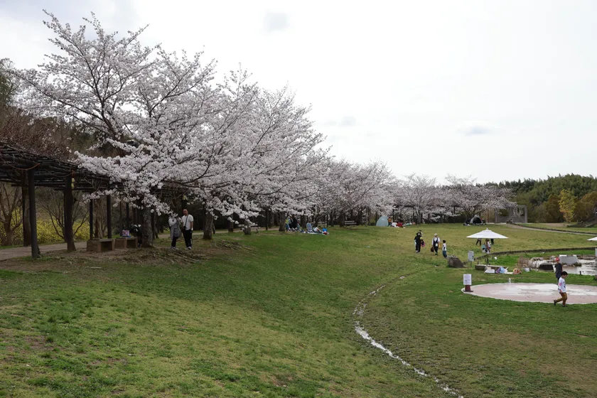 四季の郷公園