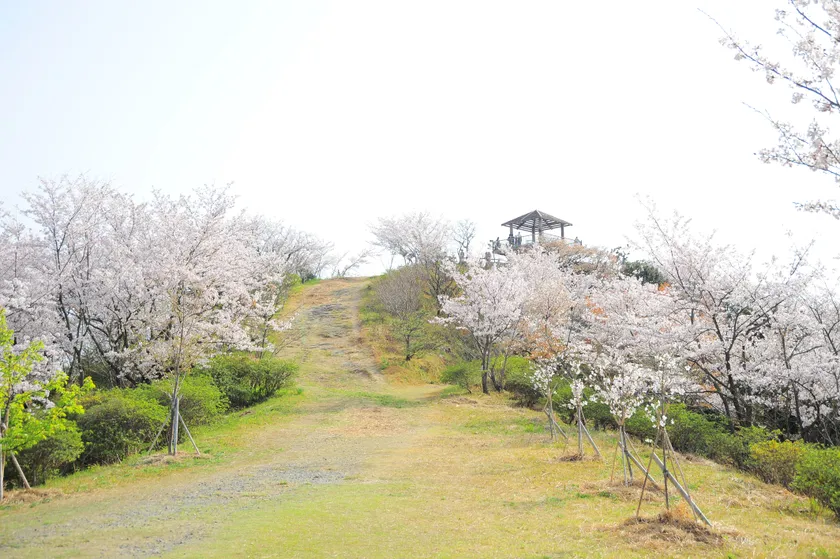 高津子山展望台