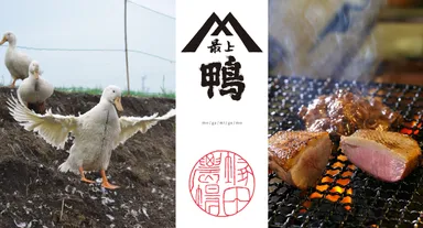 国産鴨「最上鴨」