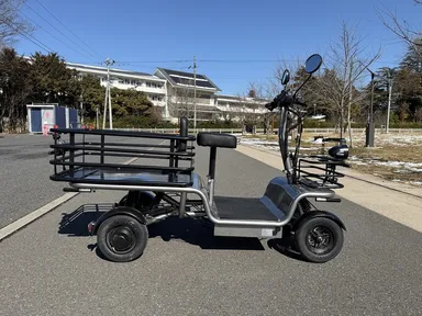 エレカーゴフルロング(横)