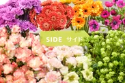 FLOWER Deli花_サイドフラワー(Step2)