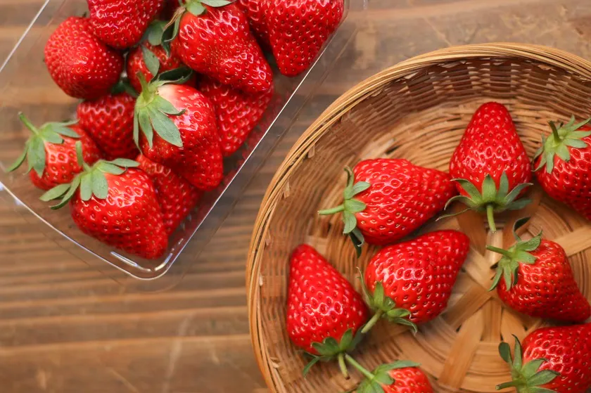 甘みと酸味のバランスが絶妙な丹波産いちご