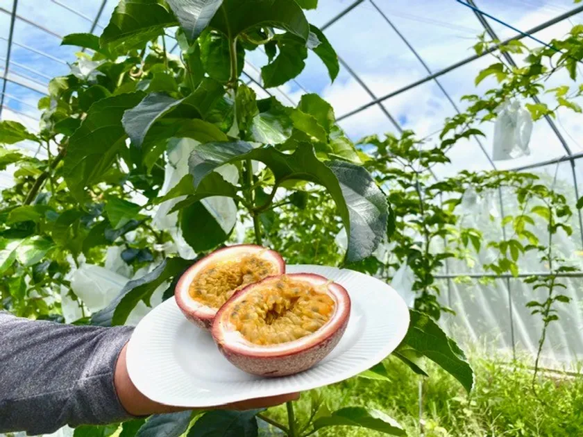 県内農家を訪問