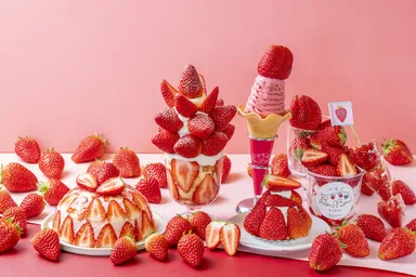 いちごの収穫祭2026　※写真はイメージです