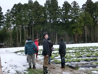 農場視察の様子