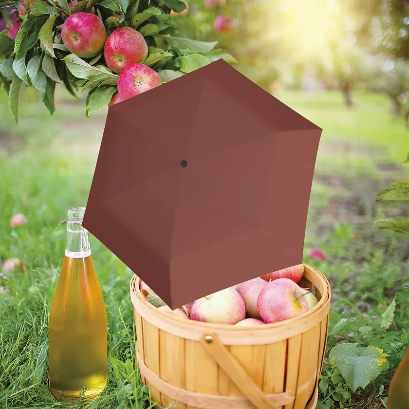 U.220 / US.050 Cidre