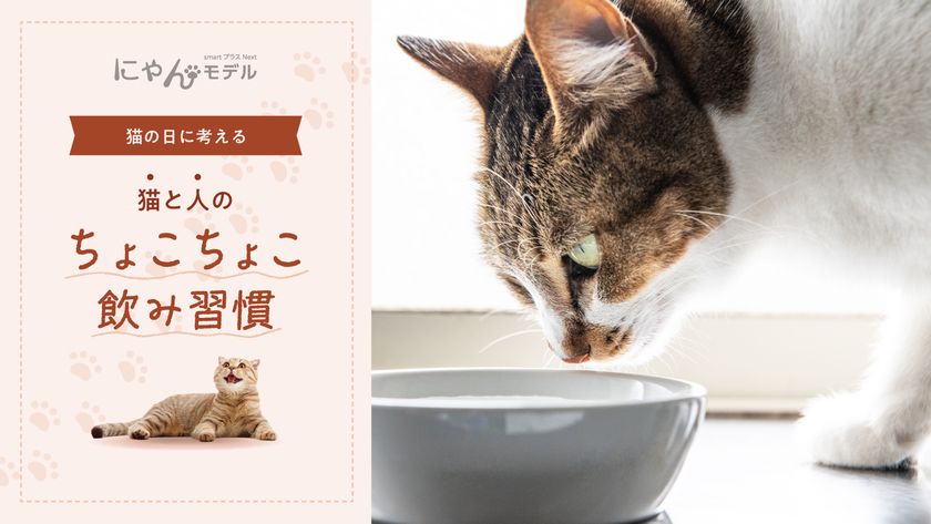 猫の日に考える「猫と人のちょこちょこ飲み習慣」
～コスモウォーター×フェリシモ「猫部」コラボキャンペーン実施～