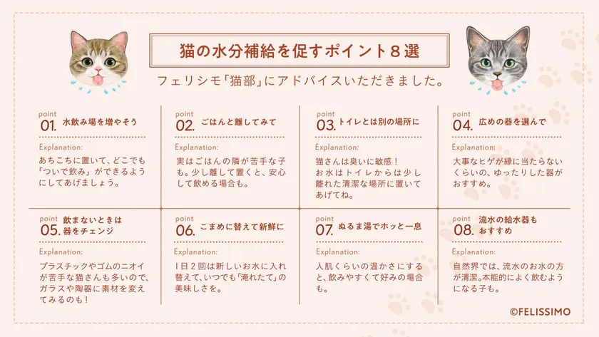 猫の水分補給を促すポイント8選