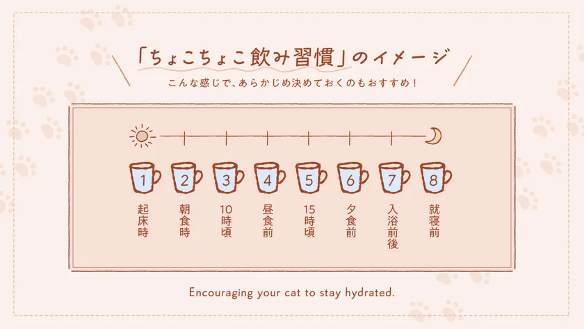 「ちょこちょこ飲み習慣」のイメージ