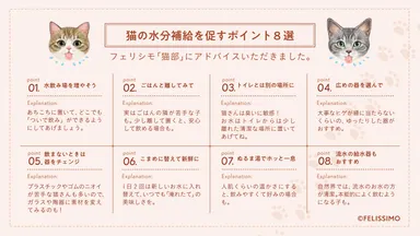 猫の水分補給を促すポイント8選