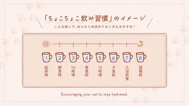 「ちょこちょこ飲み習慣」のイメージ