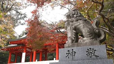 香取神宮の紅葉