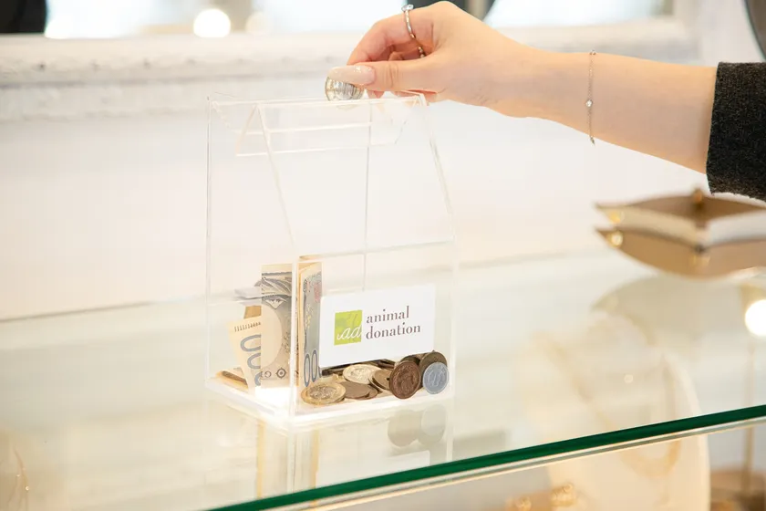 三連休中は表参道店に募金箱を設置