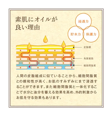 素肌にオイルが良い理由
