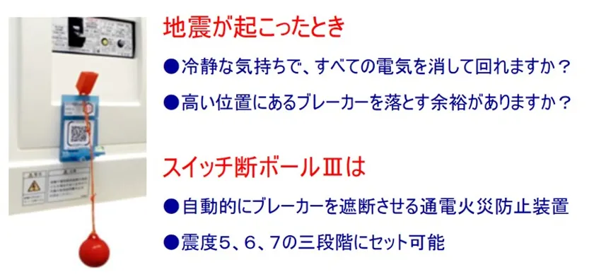 (製造販売元:株式会社エヌ・アイ・ピー様ホームページより)