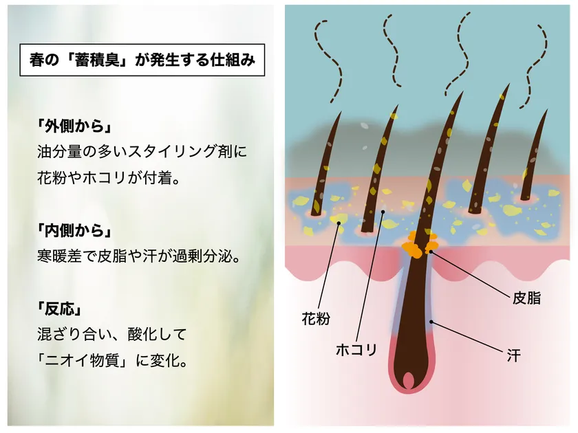 春の「蓄積臭が発生する仕組み」