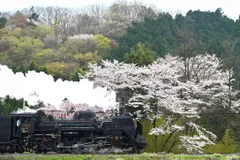 SLパレオエクスプレス　イメージ