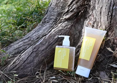 リーフ＆ボタニクス「レモン」