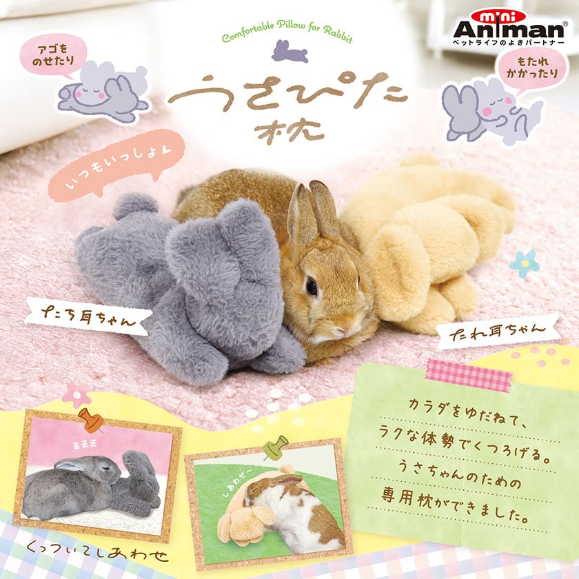 ドギーマンハヤシの小動物ブランド「ミニアニマン」から　
うさちゃん専用枕『うさぴた枕』が2月20日に発売！