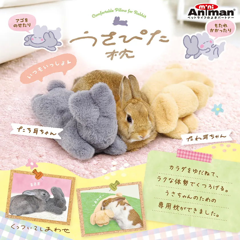 うさぴた枕のご紹介
