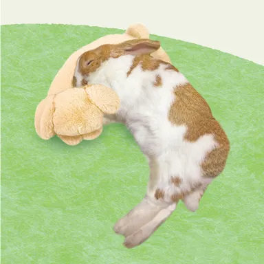 たれ耳ちゃん使用イメージ