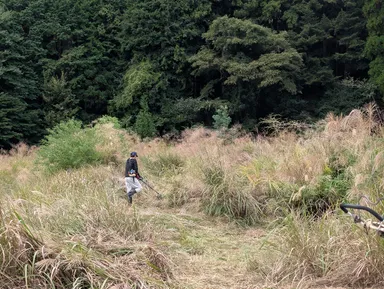 2025年秋(開墾中)