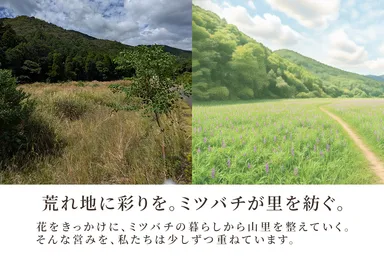 キャンプファイヤークラウドファンディングサブ画像(3)