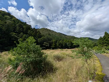 2025年秋(開墾前)