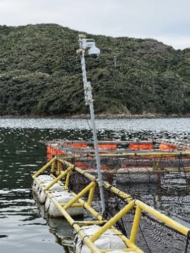 ＜養殖生簀に設置した監視カメラ＞