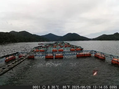 <「LA-Eye」で検知した魚のへい死>