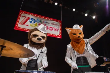 ナマケモノとドール