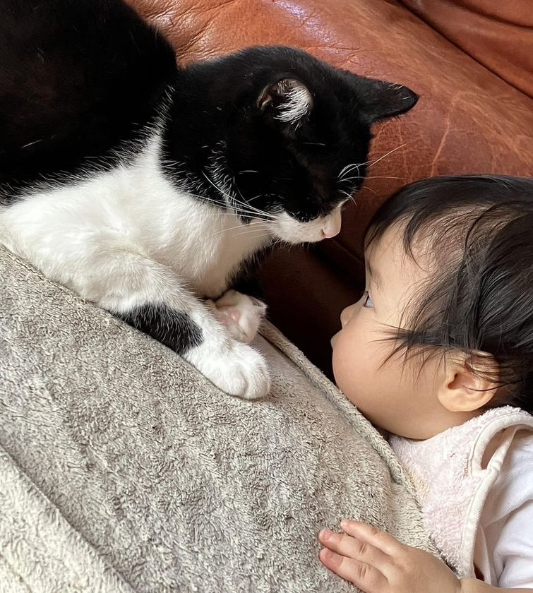 2月22日は「猫の日」。「猫ひっかき病」をご存じですか？
安心して猫と暮らすため「迅速検査キット」開発に山口大学が挑戦