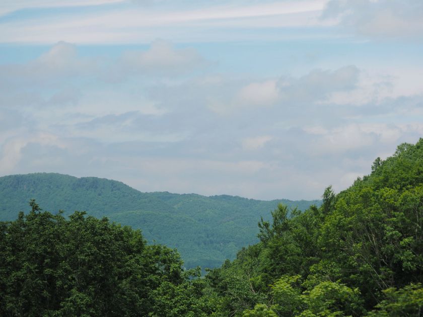 和精油の未来を拓く「日本の香りを世界へ」プロジェクト始動　
香り日本研究会、国際会議「AAC-AAIC 2026 KOREA」へ出展