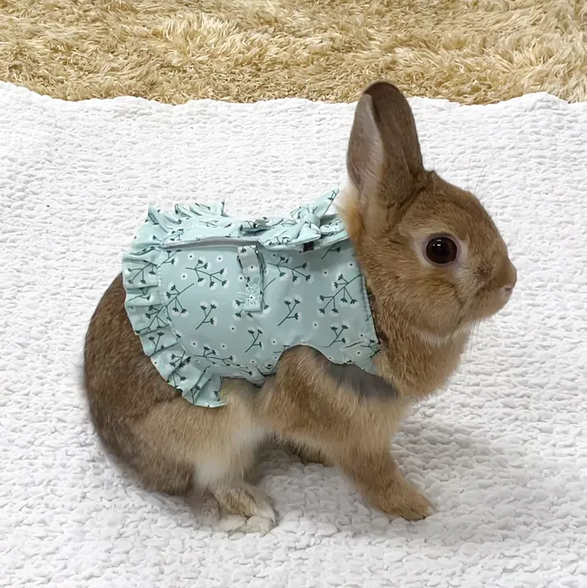 かすみ草着用イメージ