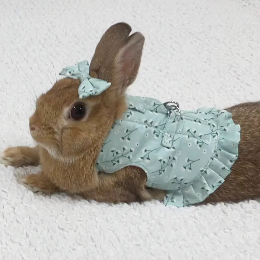 かすみ草リボンクリップイメージ