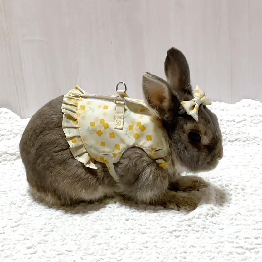 菜の花リボンクリップイメージ