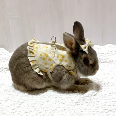 菜の花リボンクリップイメージ