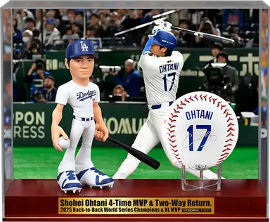 豪華3点BOXセット