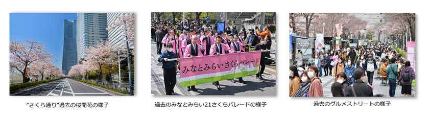 ～綱引き・パレード・グルメストリートなど、
コンテンツ盛りだくさん～
みなとみらい21 さくらフェスタ2026
