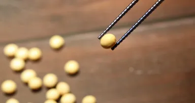 豆が逃げない箸先設計(約1.7mm×0.2mm微細加工)