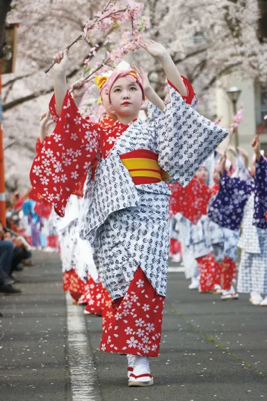 ふっさ桜まつり
