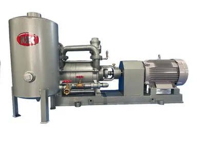 水封式真空ポンプ