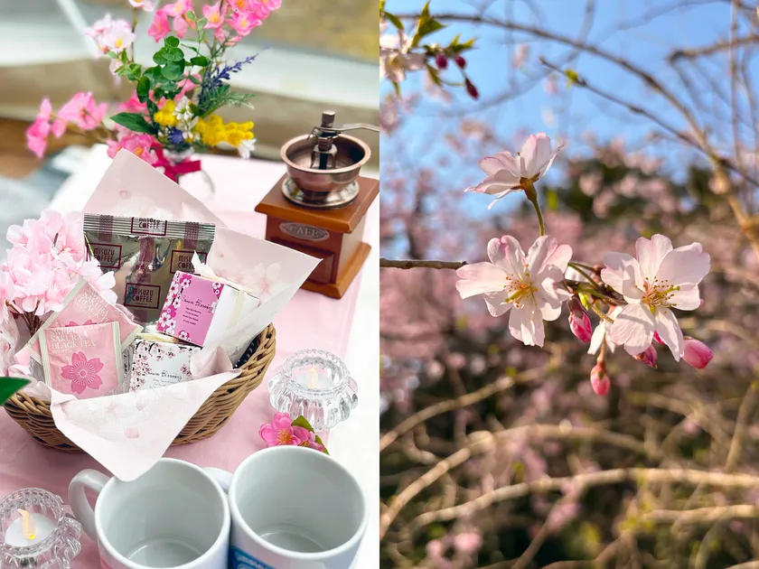 「桜紅茶と桜クッキー」の限定特典