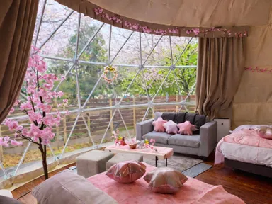 お花見グランピングプラン