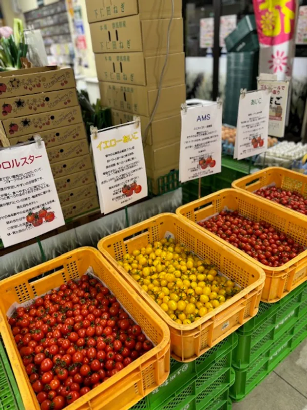 ミニトマト盛りチャレンジ