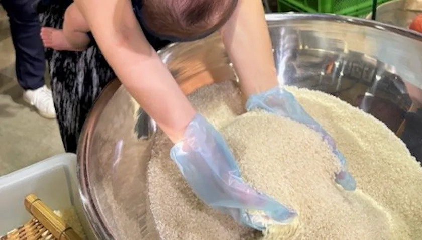 両手ですくい取り・白米コシヒカリ