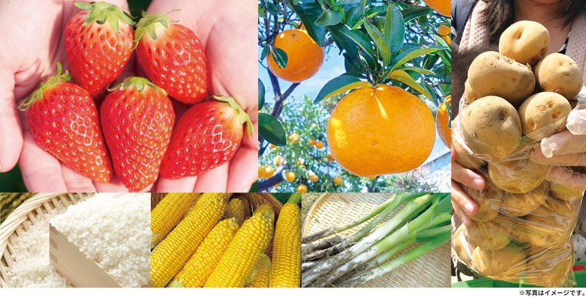 【道の駅木更津うまくたの里】
週末恒例の詰め放題、好評につき継続開催決定!
農産物詰め放題がさらにグレードアップ、
「甘夏」や「いちご」の果物が新登場!